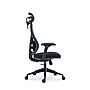 Raynor Group Torque Ergonomic Fabric/Mesh Swivel Manager Chair, Black (TORQUE-BF-BLK)~#|#~FD60D15A-3D30-4DBB-A4EF14E57736BA3D_sc7