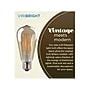 Viribright 5 Watts Warm White LED Decorative Bulb, 6/Box (ST19/641350/6)~#|#~FD77E673-B306-4310-8EC26C583FA55565_sc7
