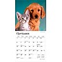 2026 BrownTrout Kittens & Puppies 7" x 7" Monthly Wall Calendar (9798330704095)~#|#~FDE00E10-EFB5-461A-98236248F5E75646_sc7