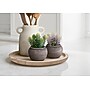 Monarch Specialties Inc. 8" Artificial Succulent Plant in Pot, 2/Set (I 9364)~#|#~FDE8E069-37A9-482E-878583DCA4218B4B_sc7