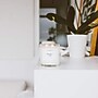 Calyan Wax Co. 2-Wick Clear Glass Tumblers Aspen + Fog Scent 2-Wick Soy Glass Jar Candle, 8.8 oz. (11TUMAF)~#|#~FE0E59C7-C499-48C2-8DDDD3487E33F825_sc7