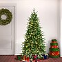 National Tree Company 6' Pre-Lit Duxbury Artificial Christmas Tree, 200 Lights (PEDUX8-300L-60)~#|#~FE4CF76B-E85D-4903-9665AB4B71F396DF_sc7