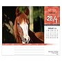 2026 BrownTrout Horse Lovers 6.06" x 5.13" Day-to-Day Calendar (9798330703678)~#|#~FF290C2F-AE47-4847-936E055A0CABDEAA_sc7