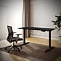 FlexiSpot ET262 55"W Electric Rectangular Adjustable Standing Desk, Black (4SPL-S09010075)~#|#~FF2CC24F-5B8C-43DC-8E8FE6849A7FB6CC_sc7
