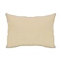 National Tree Company 18"x10" String of Carrots Easter Pillow (AH63-PFY09373-1)~#|#~FF34EBFB-82DA-44DE-98888F0D3B9B97A0_sc7