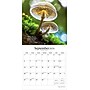 2026 Brush Dance Magic Mushrooms 12" x 12" Monthly Wall Calendar (9798330706570)~#|#~FFCAA585-019D-482E-B9DBB305F7E2B36B_sc7