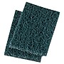 Premier Heavy Duty Scour Pads, Green, 20/Case (BWK188)~#|#~m000100542_sc7