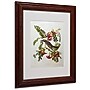 Trademark Fine Art 'Gray Tyrant #44; Gray Kingbird' 11" x 14" Wood Frame Art~#|#~m000236794_sc7