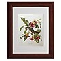 Trademark Fine Art 'Gray Tyrant #44; Gray Kingbird' 11" x 14" Wood Frame Art~#|#~m000236795_sc7