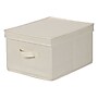 Household Essentials Large Storage Box, Natural (113)~#|#~m000290875_sc7