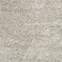 Safavieh Monterey Shag 6' x 9' Rectangle Indoor Area Rug, Tufted, Polyester, Silver (SG851S-6)~#|#~m001419217_sc7