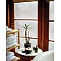 Artscape 36"H x 24"W Rice paper Clear Window Film (01-0134)~#|#~m001566062_sc7