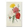 Trademark Joseph Redoute "Carnations from Choix" Gallery-Wrapped Canvas Art, 30" x 47"~#|#~m001696235_sc7