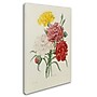 Trademark Joseph Redoute "Carnations from Choix" Gallery-Wrapped Canvas Art, 30" x 47"~#|#~m001696236_sc7