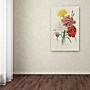 Trademark Joseph Redoute "Carnations from Choix" Gallery-Wrapped Canvas Art, 30" x 47"~#|#~m001696237_sc7