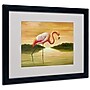 Trademark Victor Giton "Pink Flamingo" Art, White Matte With Black Frame, 16" x 20"~#|#~m001698665_sc7