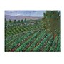 Trademark Manor Shadian "Sonoma Valley" Gallery-Wrapped Canvas Art, 14" x 19"~#|#~m001698849_sc7