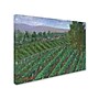 Trademark Manor Shadian "Sonoma Valley" Gallery-Wrapped Canvas Art, 14" x 19"~#|#~m001698850_sc7