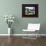 Trademark David Ayash "Yosemite...California-III" Art, Black Matte With Wood Frame, 16" x 20"~#|#~m001699388_sc7