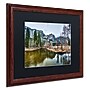 Trademark David Ayash "Yosemite...California-III" Art, Black Matte With Wood Frame, 16" x 20"~#|#~m001699393_sc7