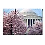 Trademark CATeyes "Cherry Blossoms 2014-7" Gallery-Wrapped Canvas Art, 16" x 24"~#|#~m001702735_sc7
