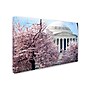 Trademark CATeyes "Cherry Blossoms 2014-7" Gallery-Wrapped Canvas Art, 16" x 24"~#|#~m001702736_sc7