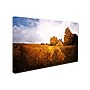 Trademark Philippe Sainte-Laudy "Light in Vineyards" Gallery-Wrapped Canvas Art, 16" x 24"~#|#~m001703267_sc7