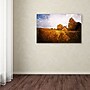 Trademark Philippe Sainte-Laudy "Light in Vineyards" Gallery-Wrapped Canvas Art, 16" x 24"~#|#~m001703268_sc7