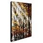 Trademark Philippe Sainte-Laudy "Just the Light" Gallery-Wrapped Canvas Art, 16" x 24"~#|#~m001703761_sc7