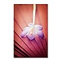 Trademark Philippe Sainte-Laudy "Access to Desires" Gallery-Wrapped Canvas Art, 30" x 47"~#|#~m001703903_sc7