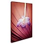 Trademark Philippe Sainte-Laudy "Access to Desires" Gallery-Wrapped Canvas Art, 30" x 47"~#|#~m001703904_sc7