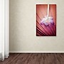 Trademark Philippe Sainte-Laudy "Access to Desires" Gallery-Wrapped Canvas Art, 30" x 47"~#|#~m001703905_sc7