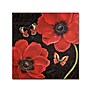 Trademark Daphne Brissonnet "Petals and Wings III" Gallery-Wrapped Canvas Art, 18" x 18"~#|#~m001706293_sc7