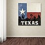 Trademark Moira Hershey "Texas" Gallery-Wrapped Canvas Art, 14" x 14"~#|#~m001706733_sc7