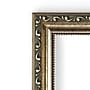 Amanti Art Parisian DSW1290278 Wall Mirror 23.88"H x 29.88"W, Silver~#|#~m002027319_sc7