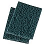 Premier Heavy Duty Scour Pads, Green, 20/Case (BWK188)~#|#~m003148274_sc7