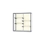 Ghent Champion 48"W x 48"H x 16"D Wall Case, Satin Finish~#|#~m003187559_sc7
