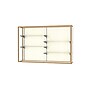 Ghent Champion 72"W x 48"H x 16"D Wall Case, Plaque Back, Champagne Finish~#|#~m003187570_sc7