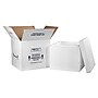 16.75" x 16.75" x 15" Insulated Shipping Containers, 2" Thick (249C)~#|#~m003578302_sc7