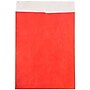 JAM Paper Tyvek Open End Open End #13 Catalog Envelope, 10" x 13", Red, 10/Pack (V021383B)~#|#~m003905266_sc7