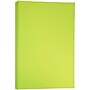 JAM Paper Matte Colored 11" x 17" Copy Paper, 24 lbs., Ultra Lime Green, 100 Sheets/Pack (16728460)~#|#~m004089876_sc7