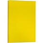 JAM Paper Matte Colored 11" x 17" Paper, 24 lbs., Yellow, 100 Sheets/Pack (16728463)~#|#~m004089882_sc7