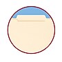 Smead Card Stock Classification Folders, Reinforced 2/5-Cut Tab, Letter Size, Manila, 50/Box (14580)~#|#~m004896749_sc7
