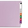 Smead End-Tab File Folders, Shelf-Master Reinforced Straight-Cut Tab, Letter Size, Lavender, 100/Bx (25410)~#|#~m004897031_sc7