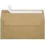 LUX 70lb 4 1/8"x9 1/2" Square Flap #10 Envelopes, Grocery Bag Brown, 500/BX~#|#~m004940396_sc7