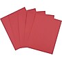 Astrobrights Colored 24 lb. Paper, Re-Entry Red, 8 1/2" x 11", 500 Sheets~#|#~s0053516_sc7