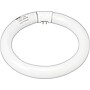 GE 22 Watt Cool White 8" Diameter T-9 Circline Fluorescent Tube (33774)~#|#~s0144816_sc7
