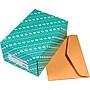 Quality Park Gummed Kraft Catalog Envelope, 10" x 15", Light Kraft, 100/Box (54301)~#|#~s0171427_sc7