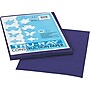 Tru-Ray 9" x 12" Construction Paper, Purple, 50 Sheets (P103019)~#|#~s0172023_sc7