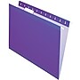 Pendaflex Reinforced Hanging File Folders, 1/5 Tab, Letter Size, Violet, 25/Box (PFX 4152 1/5 VIO)~#|#~s0279264_sc7